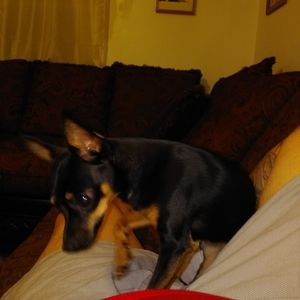 Meet your Posher, Rikku